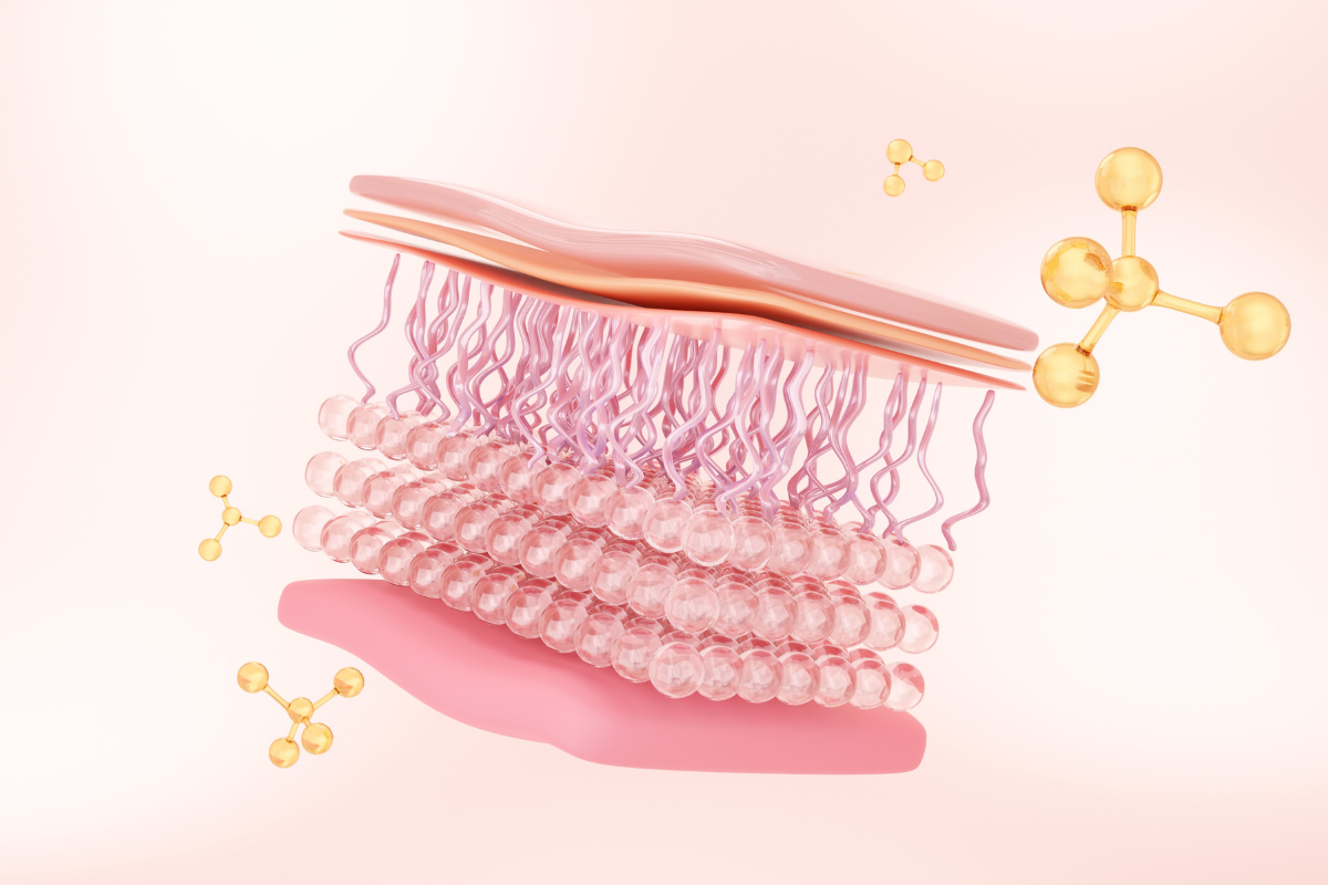 collagen and elastin in skin