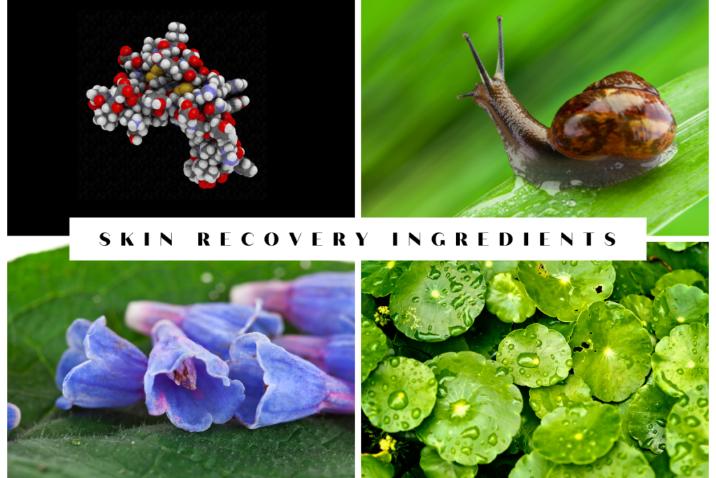 EGF, snail mucin secretion, allantoin and centella asiatica that help in skin recovery after dermatological procedures