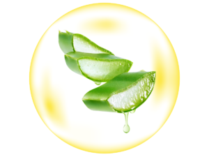 aloe vera in RIBESKIN bruderm which is anti-bacterial and helps in skin calming after plastic surgery