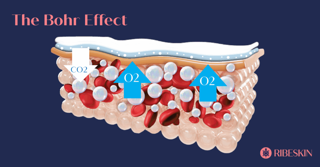 Bohr Effect, the principle behind CO2 Carboxy Therapy (2)
