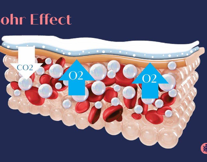 Bohr Effect, the principle behind CO2 Carboxy Therapy (2)