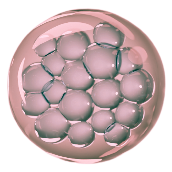 ribeskin betterfill exo56+ exosome trearment