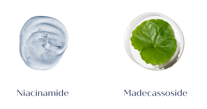 Niacinamide and Madecassoside used in RIBESKIN's SOS Spot Patch acne pimple patches, used in Korean dermatology clinics